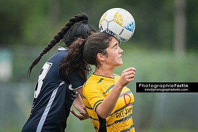 D50_2216.jpg